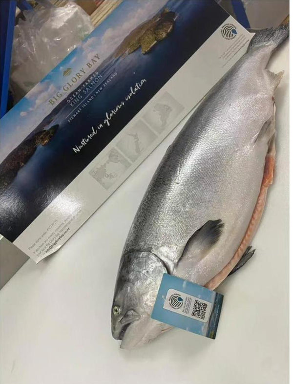 冷凍新西蘭大榮耀灣帝王鮭整條魚片/Frozen NZ Big Glory Bay King Salmon Whole Side Fillet(around1.7kg)