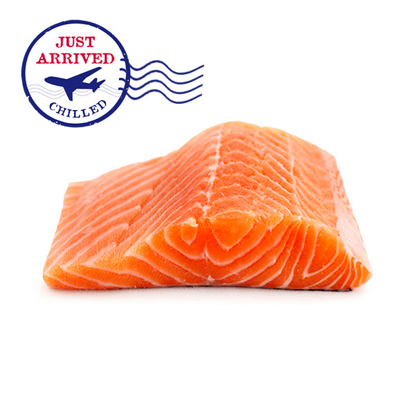 紐西蘭大光榮灣帝王鮭魚片/NZ Big Glory Bay King Salmon Fillet